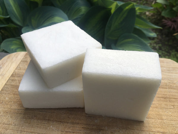 Pits & Bits Sea Salt Soap - Fisher Soap Company, LLC