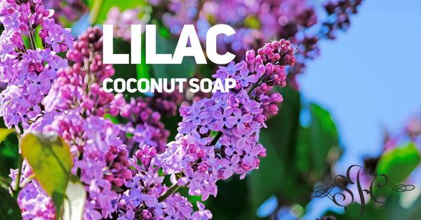 Lilac Soap - Fisher Soap Company, LLC
