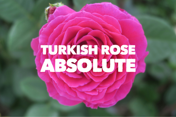 Turkish Rose Shower Frosting